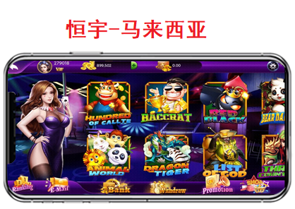 恒宇海外定制马来西亚版